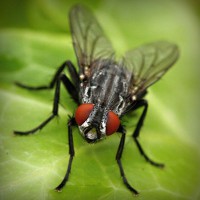 /album/la-biologia/photolia-a01-jpg/