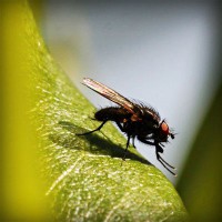 /album/la-biologia/photolia-a04-jpg/