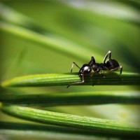 /album/la-biologia/photolia-a05-jpg/