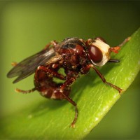 /album/la-biologia/photolia-a06-jpg/