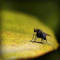 /album/la-biologia/photolia-a07-jpg/
